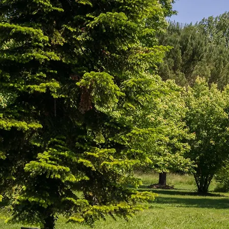 Holiday home L'ancienne Gare D'issigeac,piscine,grand Terrain,4 Personnes *